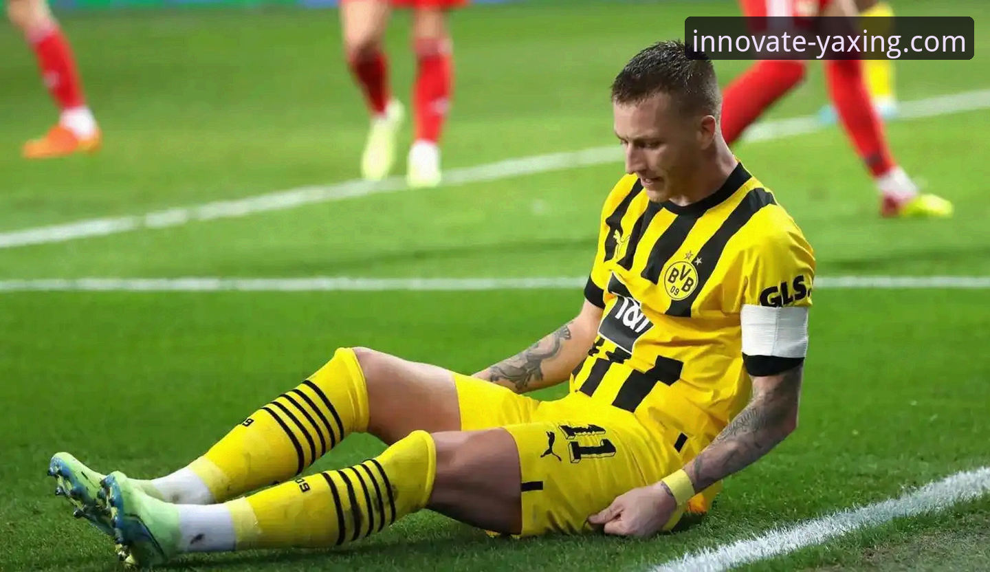 阿根廷新星重伤无缘世界杯，亚星官方平台赛事信息整合深度评测